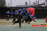 IMG1261.jpg