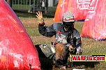 IMG4737.jpg
